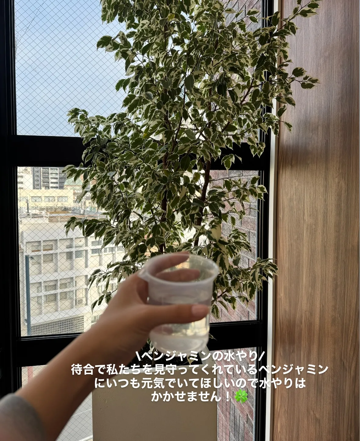 こんにちは✨段原くるみ歯科です！