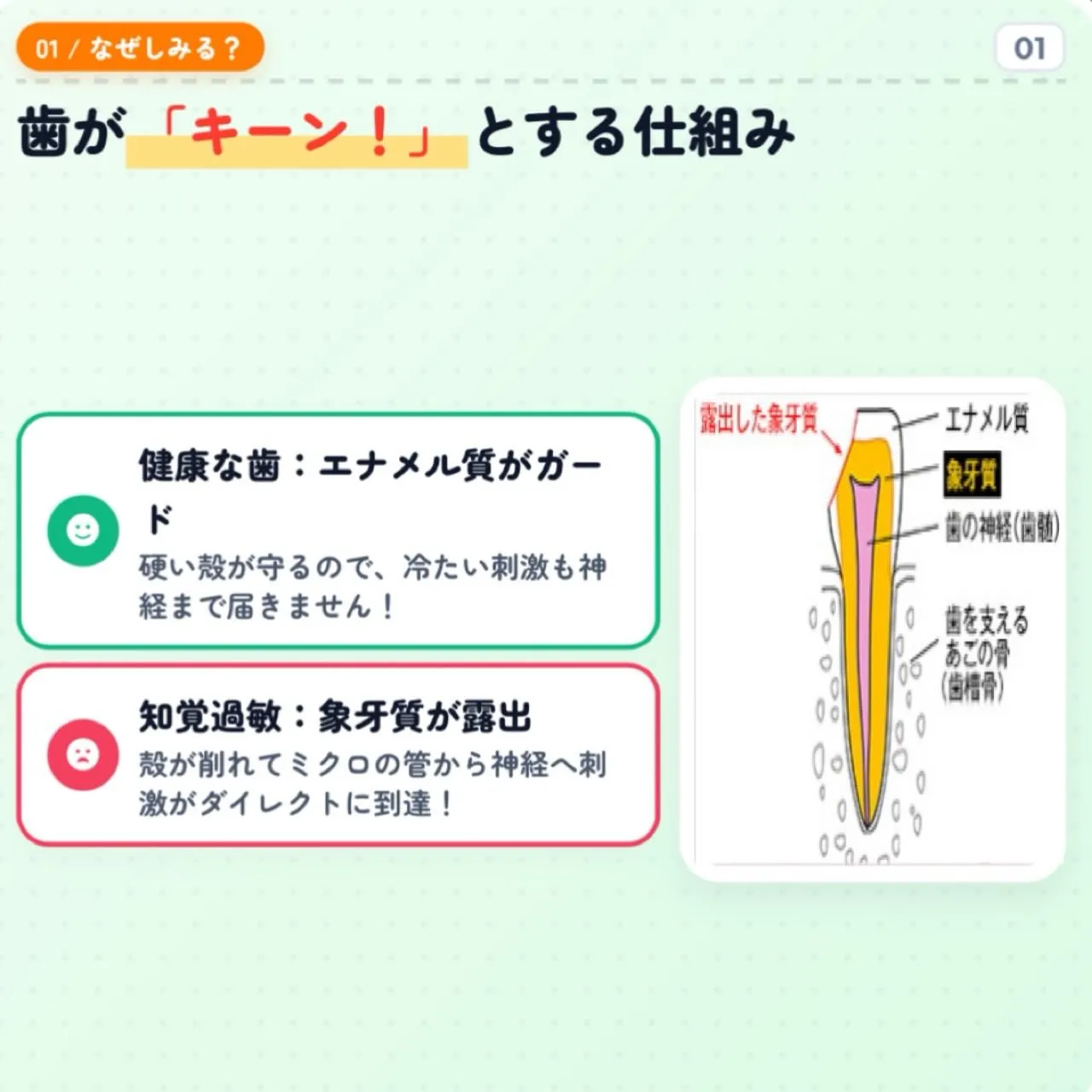 こんにちは!段原くるみ歯科の松尾です🙌🏻